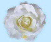 Weie Rose-Logo