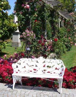 Rosa Rosenbäumchen